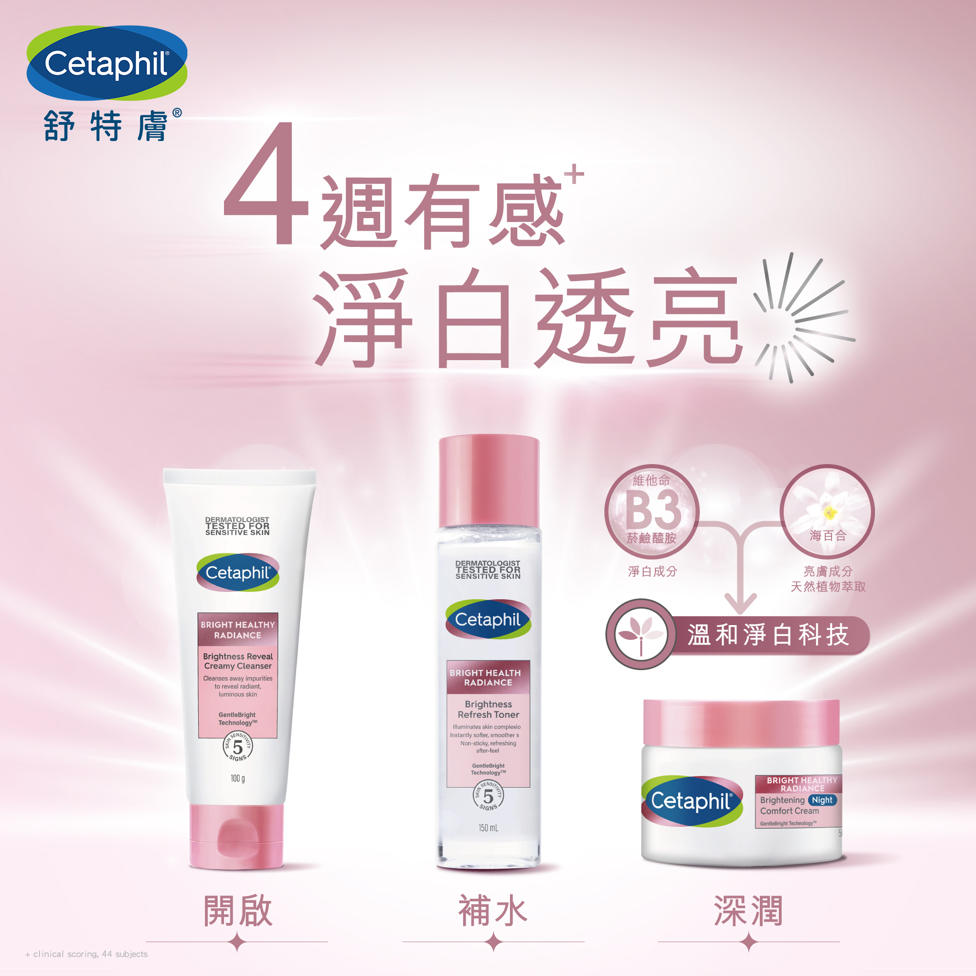BHR淨白極致面膜 
                    Ingredients